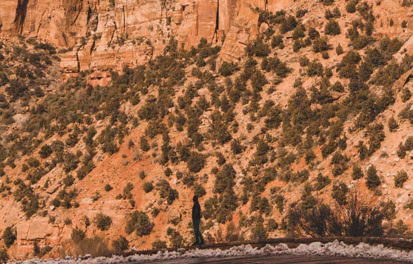 Conpluribus son Marcio pre Divites locato Peius subditicii i regiae